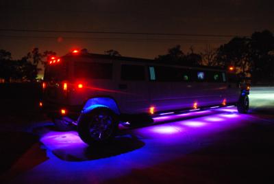 Platinum Limo Service Inc. | Houston, TX | Hummer Limousine | Photo #6