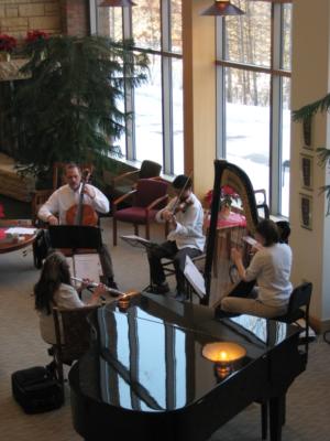 Ensemble Con Brio | Minneapolis, MN | String Quartet | Photo #8