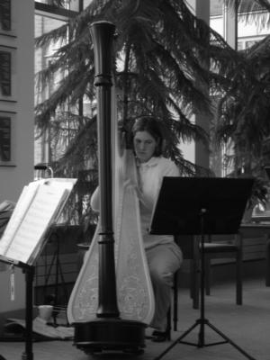 Ensemble Con Brio | Minneapolis, MN | String Quartet | Photo #6