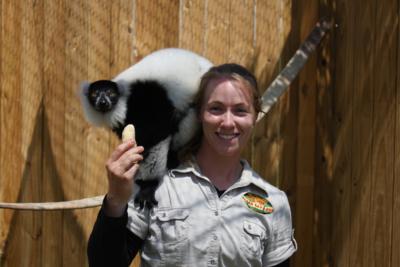 Tiger Safari / Zoo To You | Tuttle, OK | Animals For Parties | Photo #3