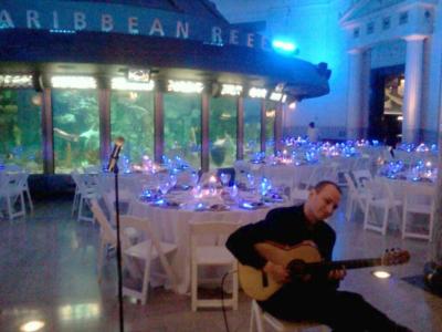 Jim Perona | Wheaton, IL | Classical Guitar | Photo #10