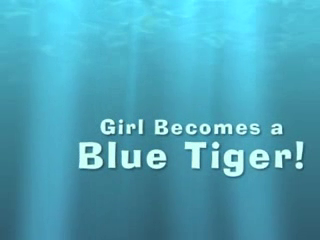 Face Painting Is Fun! | Yonkers, NY | Face Painting | Girl Becomes Blue Tiger!
