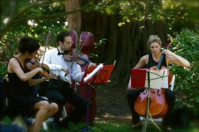 Aleron Strings | San Francisco, CA | Classical Duo | Photo #11