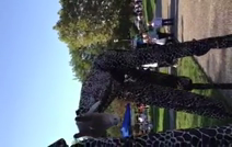 The T.A.G. Art Company | Fort Wayne, IN | Costumed Character | Giraffe on the loose!