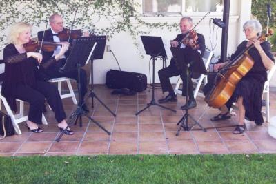Zene String Quartet | San Diego, CA | String Quartet | Photo #13