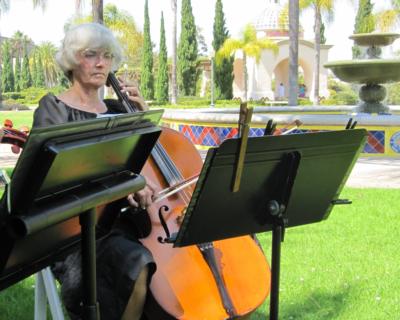 Zene String Quartet | San Diego, CA | String Quartet | Photo #18