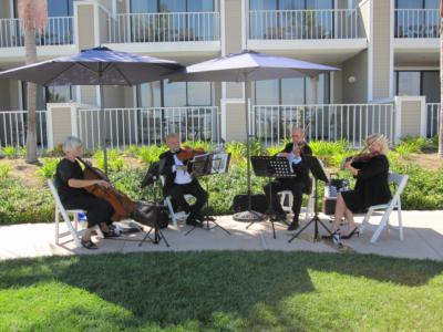 Zene String Quartet | San Diego, CA | String Quartet | Photo #22