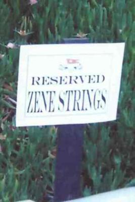 Zene String Quartet | San Diego, CA | String Quartet | Photo #15