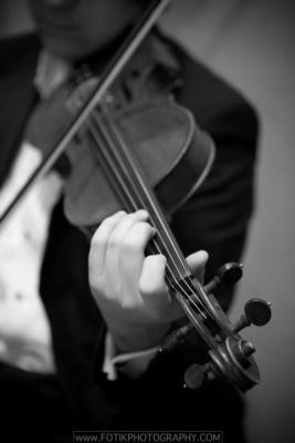 Armonia Music Inc.'s Main Photo