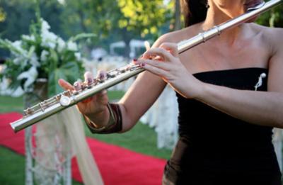 Armonia Music Inc. | Fort Lauderdale, FL | String Quartet | Photo #13