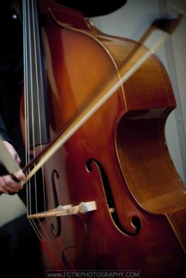 Armonia Music Inc. | Fort Lauderdale, FL | String Quartet | Photo #23