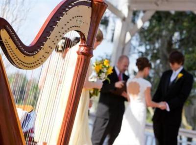 Armonia Music Inc. | Fort Lauderdale, FL | String Quartet | Photo #10
