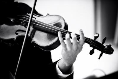 Armonia Music Inc. | Fort Lauderdale, FL | String Quartet | Photo #14