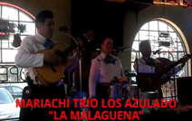 'Mariachi Trio Los Azulado' | Apple Valley, CA | Mariachi Band | LA MALAGUENA--live at Panchos Restaurant in Victorville CA