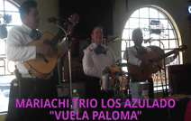 'Mariachi Trio Los Azulado' | Apple Valley, CA | Mariachi Band | VUELA PALOMA--live at Panchos Restaurant in Victorville CA 5-24-13
