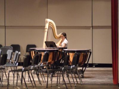 Cora Wiese Moore | Madison, WI | Celtic Harp | Photo #3