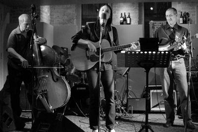 The Dang-Its | Madison, WI | Country Band | Photo #7