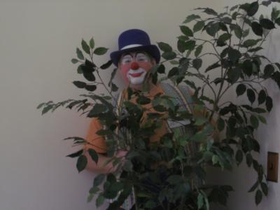 Bonkers T. Clown | New Albany, IN | Balloon Twister | Photo #8