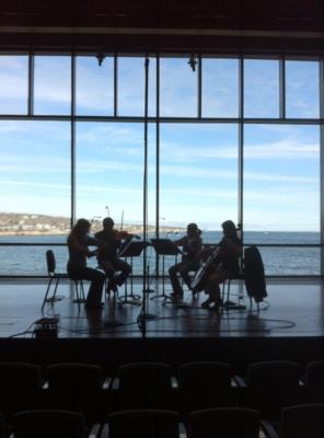 New England String Quartet | Boston, MA | String Quartet | Photo #17