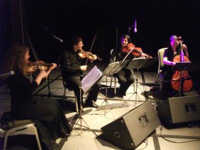 New England String Quartet | Boston, MA | String Quartet | Photo #12