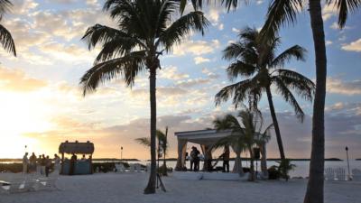 Key West Steel Drum Band | Key West, FL | Steel Drum Band | Photo #8