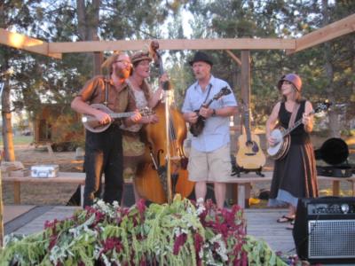 Pickled Okra | Seattle, WA | Bluegrass Band | Photo #14