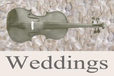 Alexander Mitchell | Frederick, MD | Fiddler | Photo #7