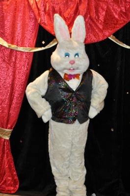 Magic Mike | Chicago, IL | Comedy Magician | Photo #24