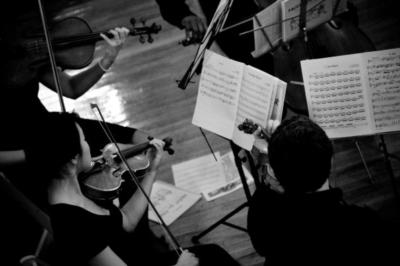 Iconiq String Quartet's Main Photo