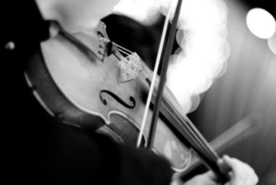 Iconiq String Quartet | New York, NY | Classical String Quartet | Photo #5