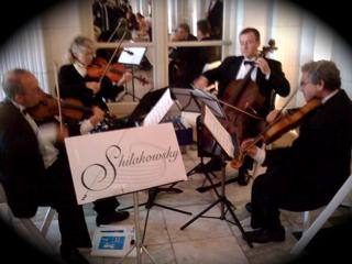 Shilakowsky String Ensembles | South Easton, MA | String Quartet | Photo #3