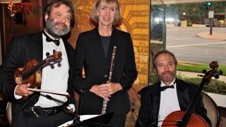 The Mengel Brothers String  Quartet,Trio & Duo | Kansas City, MO | Classical Quartet | Photo #2