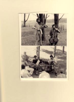 The Mengel Brothers String  Quartet,Trio & Duo | Kansas City, MO | Classical Quartet | Photo #14