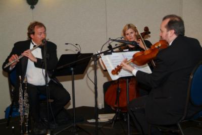 The Mengel Brothers String  Quartet,Trio & Duo | Kansas City, MO | Classical Quartet | Photo #4