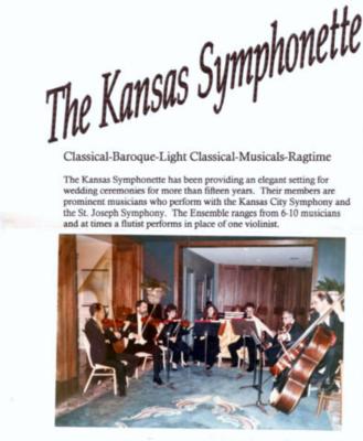 The Mengel Brothers String  Quartet,Trio & Duo | Kansas City, MO | Classical Quartet | Photo #7