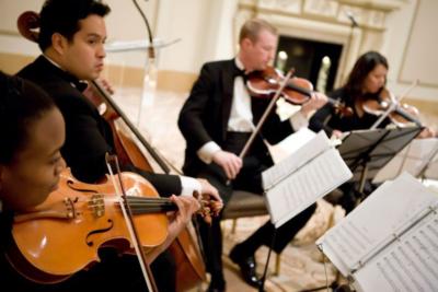 Accolade Musicians (Quartet, Trio, Or Duo)'s Main Photo
