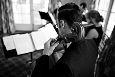 Steve Holman | Purlear, NC | Classical Cello | Photo #3