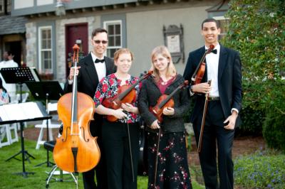 Steve Holman | Purlear, NC | Classical Cello | Photo #7