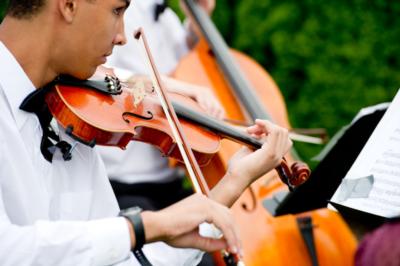 Steve Holman | Purlear, NC | Classical Cello | Photo #4