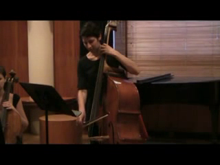 Spring Ensemble | Brooklyn, NY | Classical Violin | Canon in D