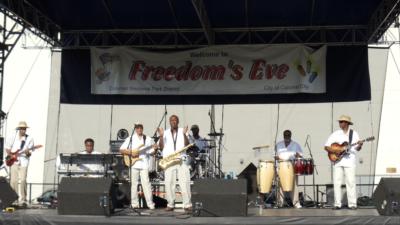 Euphony Band | Homewood, IL | Cover Band | Photo #18