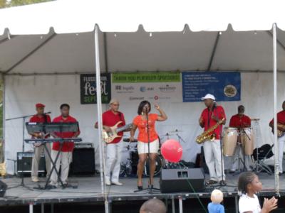 Euphony Band | Homewood, IL | Cover Band | Photo #9