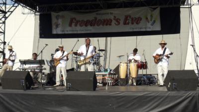 Euphony Band | Homewood, IL | Cover Band | Photo #19