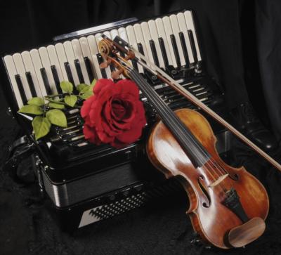 Loran Strings | Fort Collins, CO | Classical Violin | Photo #4