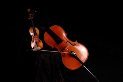 Loran Strings's Main Photo