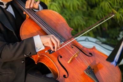 Romantic Cello | Laguna Hills, CA | Cello | Photo #13