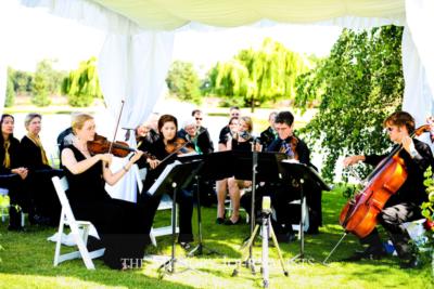 The Dolanc String Quartet | Davis, CA | Classical String Quartet | Photo #5
