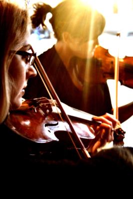 The Dolanc String Quartet | Davis, CA | Classical String Quartet | Photo #2