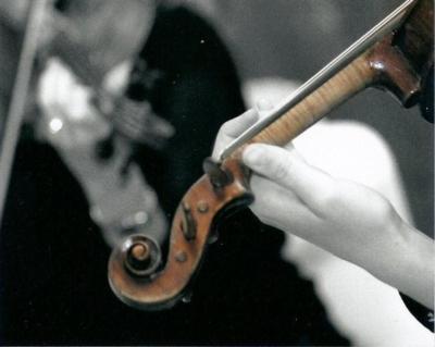 The Dolanc String Quartet | Davis, CA | Classical String Quartet | Photo #9