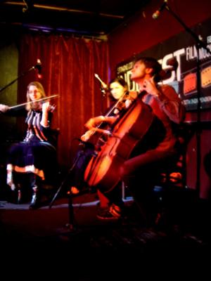 The Dolanc String Quartet | Davis, CA | Classical String Quartet | Photo #6